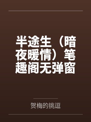半途生（暗夜暖情）笔趣阁无弹窗