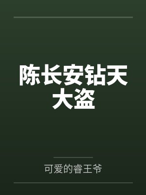 陈长安钻天大盗