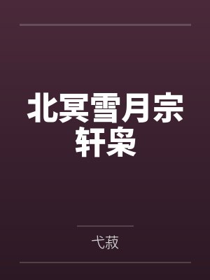 北冥雪月宗轩枭
