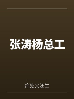 张涛杨总工