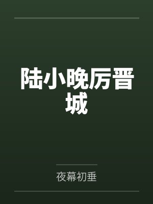 陆小晚厉晋城