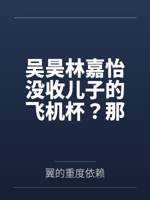 吴昊林嘉怡没收儿子的飞机杯？那就自己成为飞机杯吧