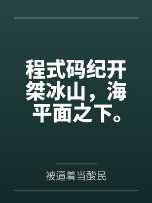 程式码纪开桀冰山，海平面之下。
