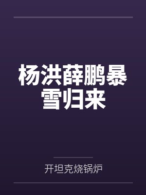 杨洪薛鹏暴雪归来