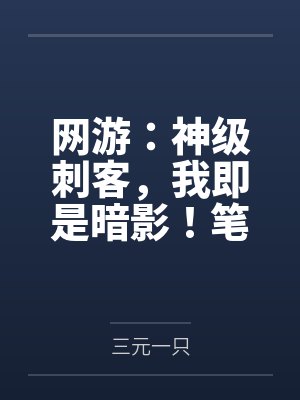 网游：神级刺客，我即是暗影！笔趣阁无弹窗