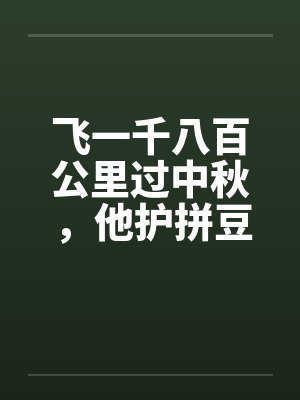 飞一千八百公里过中秋,他护拼豆挂件不护我 飞一千八百公里过中秋,他护拼豆挂件不护我