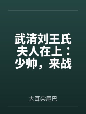 武清刘王氏夫人在上：少帅，来战！