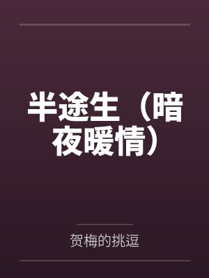 半途生（暗夜暖情）