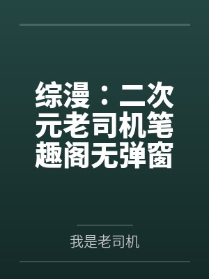 综漫：二次元老司机笔趣阁无弹窗