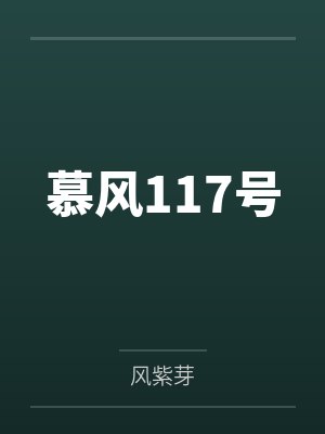 慕风117号