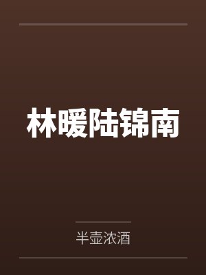 林暖陆锦南