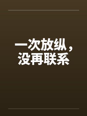 一次放纵，没再联系