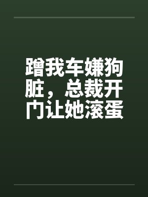 蹭我车嫌狗脏，总裁开门让她滚蛋
