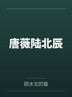 唐薇陆北辰