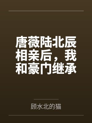 唐薇陆北辰相亲后，我和豪门继承人闪婚了
