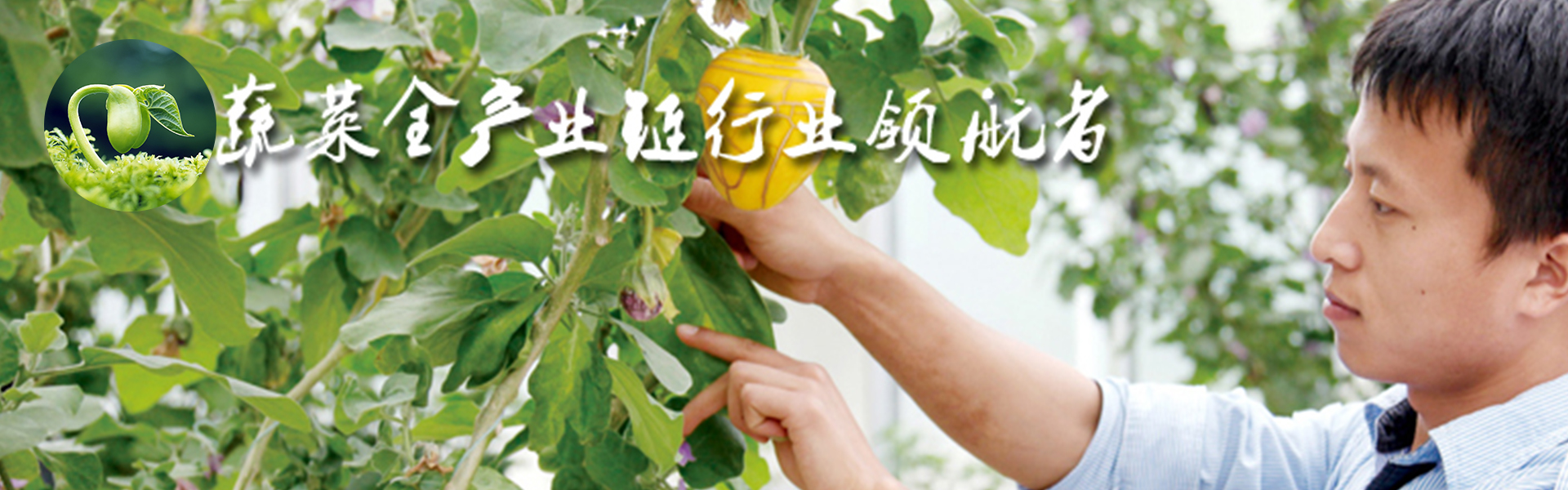 幻灯2